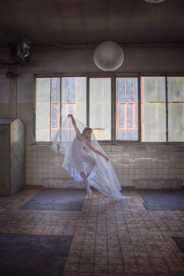 Nf 24,12 Foto Viviane Gutheil